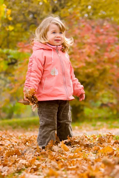 Kleines blondes Mädchen im Herbstpark — Stockfoto