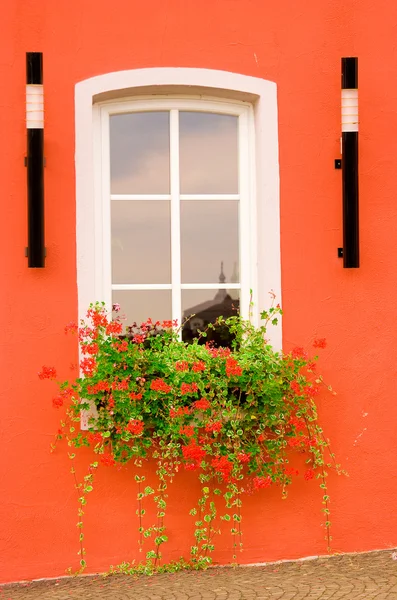 Beautiful window on red wall — Stock Photo, Image