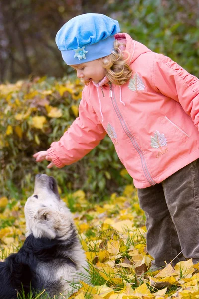 Klein meisje spelen met hond in herfst park Stockfoto