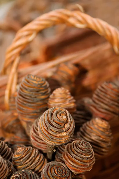 Макро из коричневых сосновых мозолей с корзиной — стоковое фото