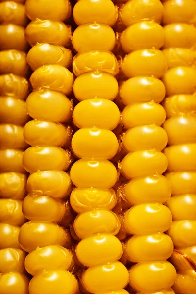 Κίτρινο καλαμπόκι σιτάρια — Φωτογραφία Αρχείου