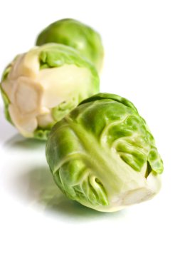 Brussels sprouts clipart