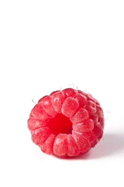 단일 빨간색 딸기 흰색 위에 절연 — 스톡 사진