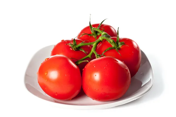 Zralá červená rajčata s kapkami vody nad bílá — Stock fotografie