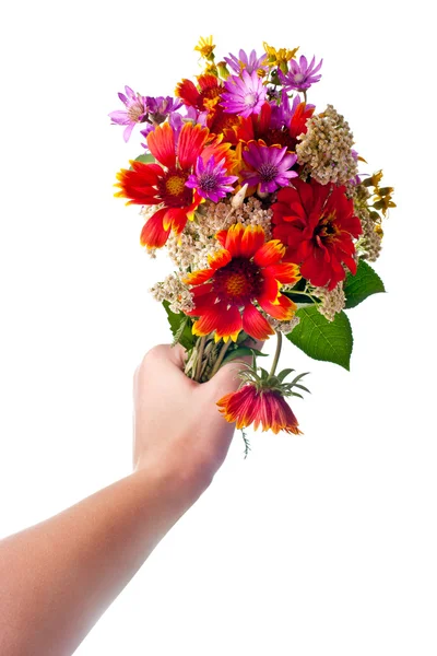 Mano con flores sobre blanco — Foto de Stock