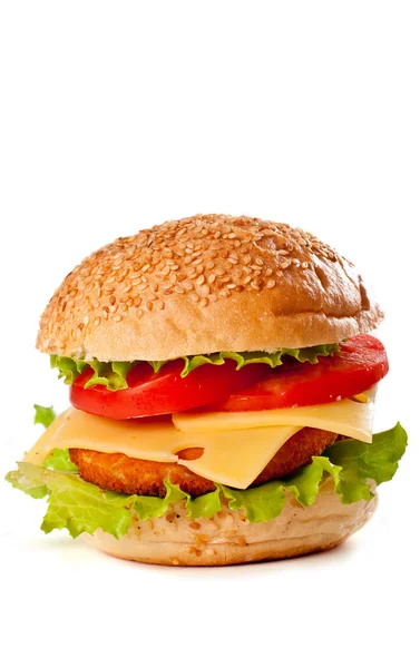 Hamburger izolált fehér — Stock Fotó