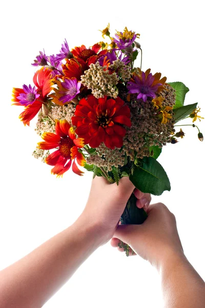 Handen met bloemen over Wit — Stockfoto