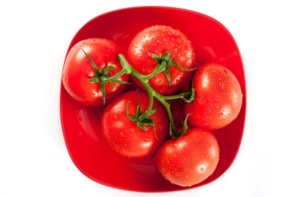 Tomates rojos maduros con gotas de agua sobre blanco — Foto de Stock