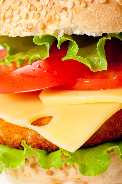Büyük renkli hamburger makro — Stok fotoğraf