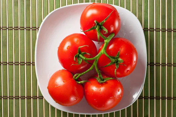 Tomaten mit Wassertropfen lizenzfreie Stockbilder