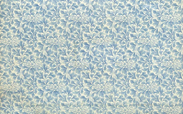 Endpaper feuille motif floral illustration vintage — Photo
