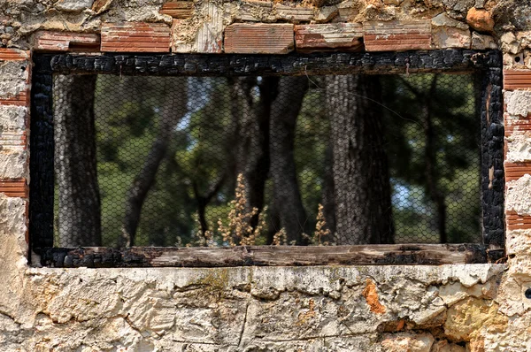 Cadre de fenêtre brûlé vue sur la forêt — Photo