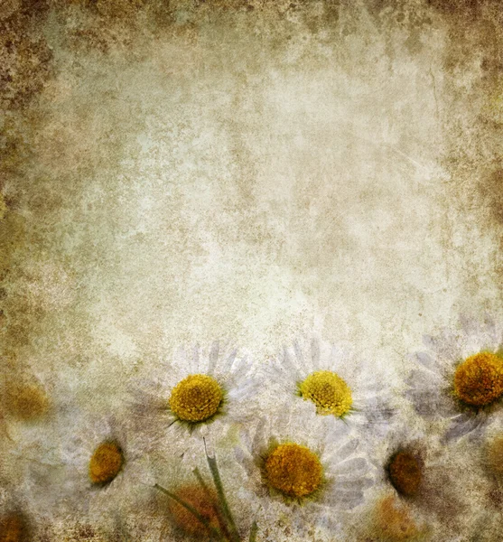 Grunge花卉背景 — 图库照片