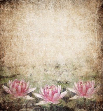 Water Lily clipart