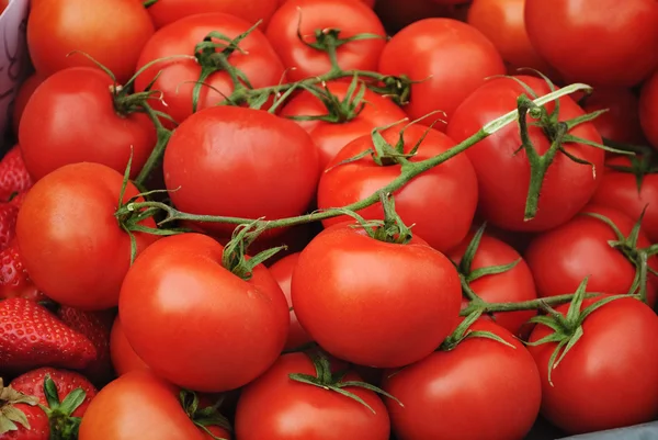 stock image Tomatoes