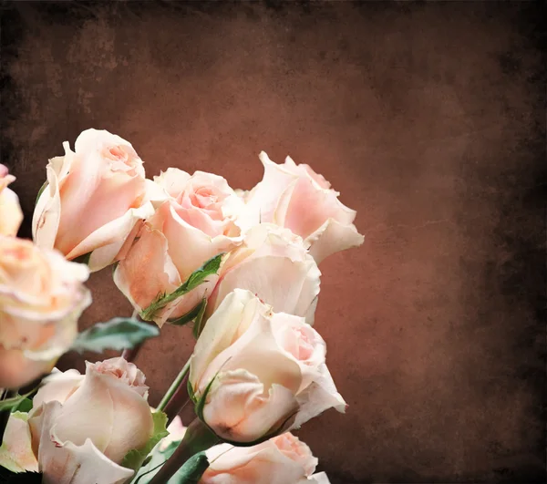 Roses Bouquet — Stock Photo, Image