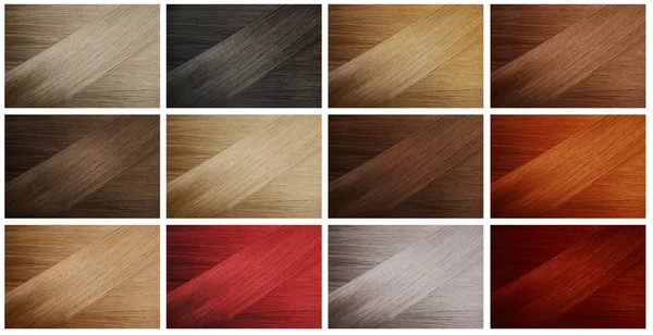 Hair Samples — Stock Photo, Image