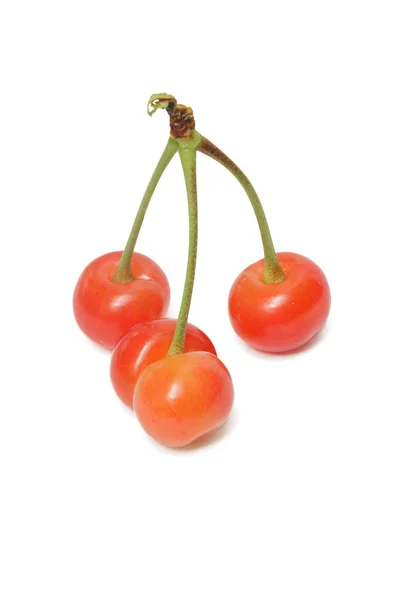 Bunch of cherries — Stock Photo, Image