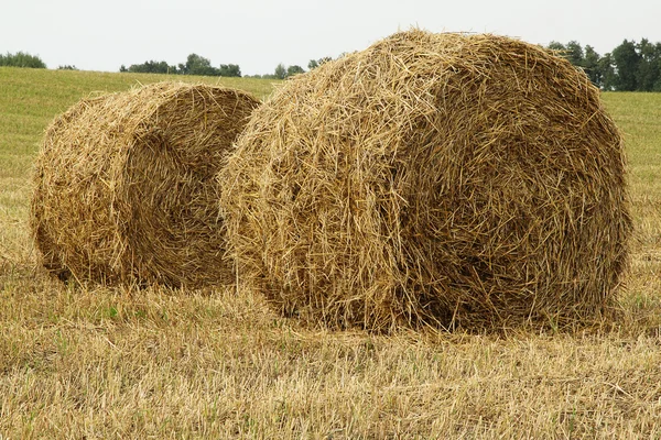 Two haystacks — Stock Photo, Image