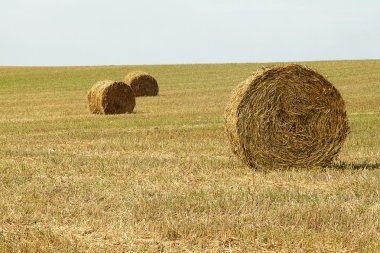 haystacks