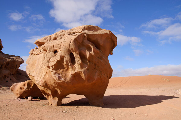 Cow stone in Wadi Rum desert, Jordan