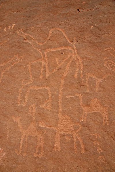 stock image Ancient drawing on the rock