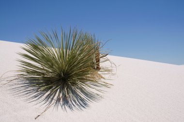 White sands national monument New Mexico, USA clipart