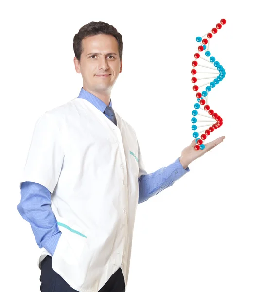 DNA structure — Stock Photo, Image