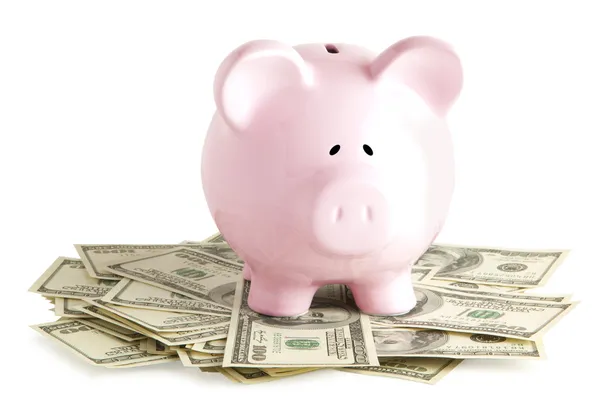 Roze piggy bank op dollar — Stockfoto