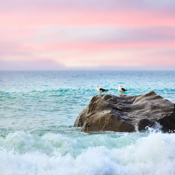 stock image Tasman sea