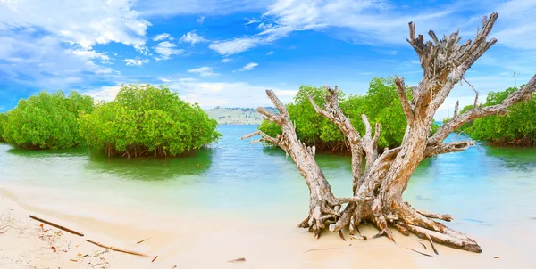 stock image Panorama island