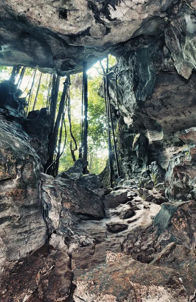 De la cueva — Foto de Stock