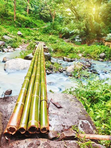 Bambu bron — Stockfoto
