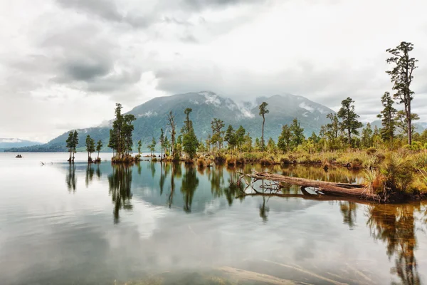 Lago brunner — Fotografia de Stock