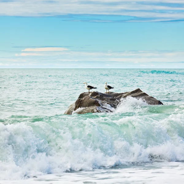 Mar da Tasmânia — Fotografia de Stock