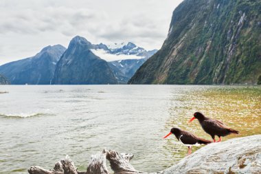 Milford sound clipart