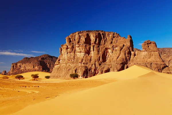 Пустеля Сахара, Алжир — стокове фото