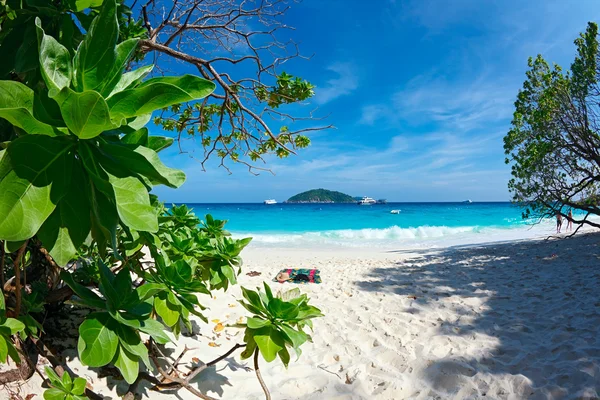 stock image Paradise beach.