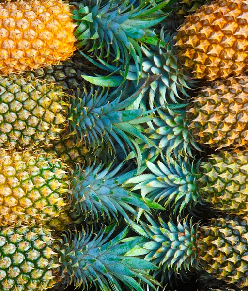 Ananassi. Fotografia Stock