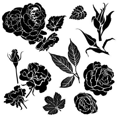 Rose flowers clipart