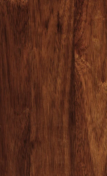 Struttura in legno di evea — Foto Stock