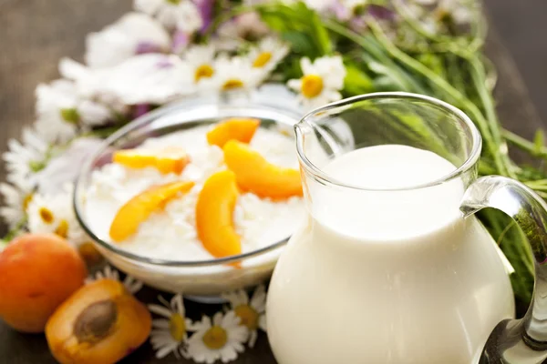 Cheese and a jug of milk — Stock Photo, Image