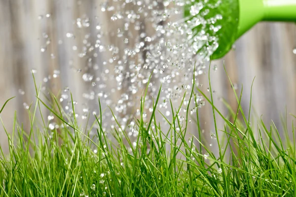 Gießen aus der Gießkanne auf Graswasser — Stockfoto