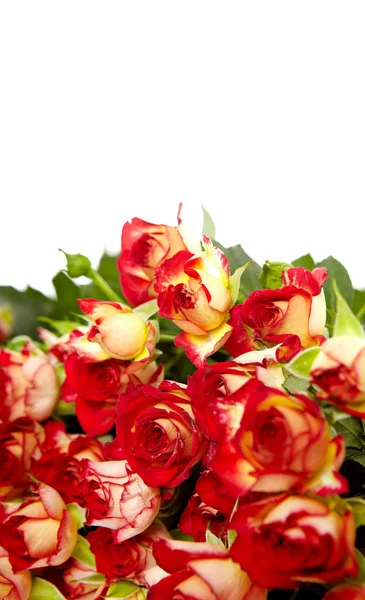 Τριαντάφυλλα σε μια δέσμη που απομονώνονται σε λευκό φόντο με χώρο για τους t — Φωτογραφία Αρχείου