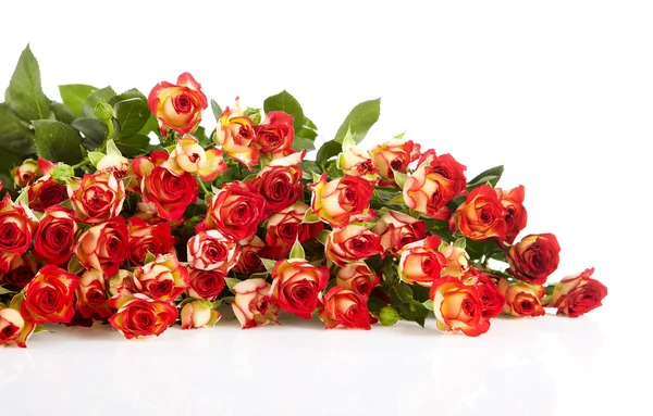 Rosas en un ramo aislado sobre un fondo blanco con espacio para t — Foto de Stock