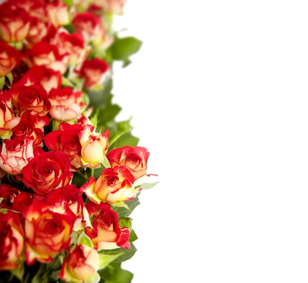 Τριαντάφυλλα σε μια δέσμη που απομονώνονται σε λευκό φόντο με χώρο για τους t — Φωτογραφία Αρχείου