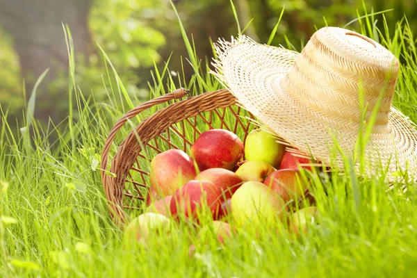 Apfel im Garten — Stockfoto