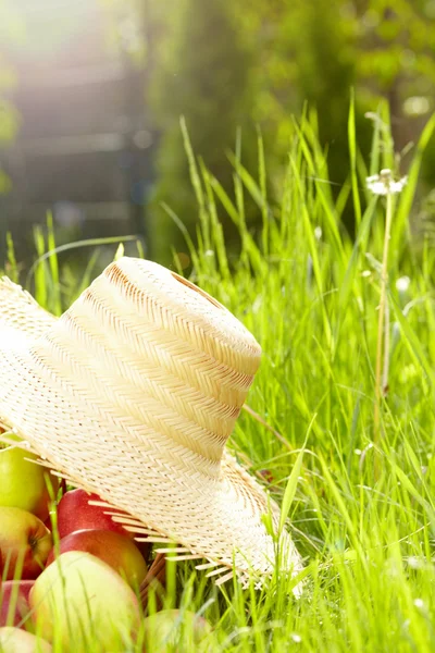 Röda äpplen och trädgård korg i grönt gräs — Stockfoto