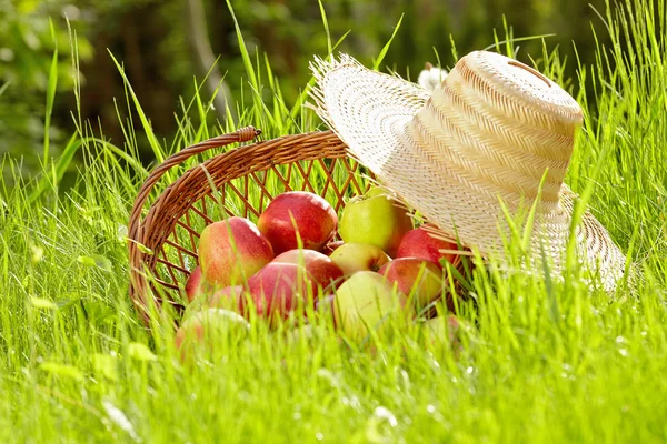 Rode appels en tuin mand in groene gras — Stockfoto