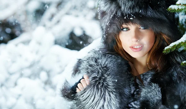 Schönheit Frau in der Winterlandschaft Stockfoto